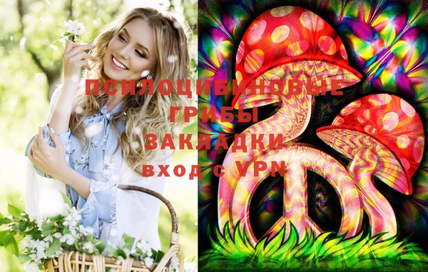 круглые Карталы