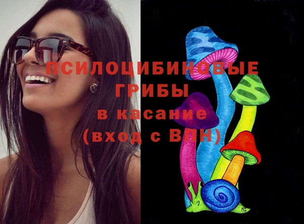 а пвп мука Карпинск