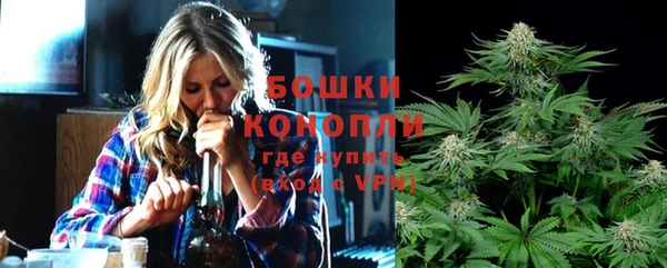 мет Касимов
