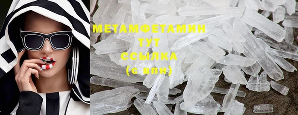 мет Касимов